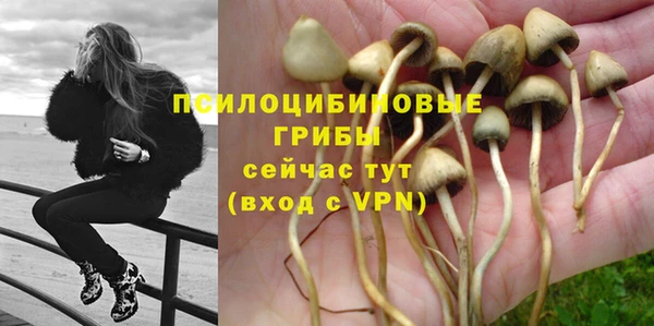 a pvp Алексин
