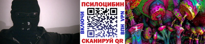 что такое   Ардатов  Псилоцибиновые грибы мицелий 
